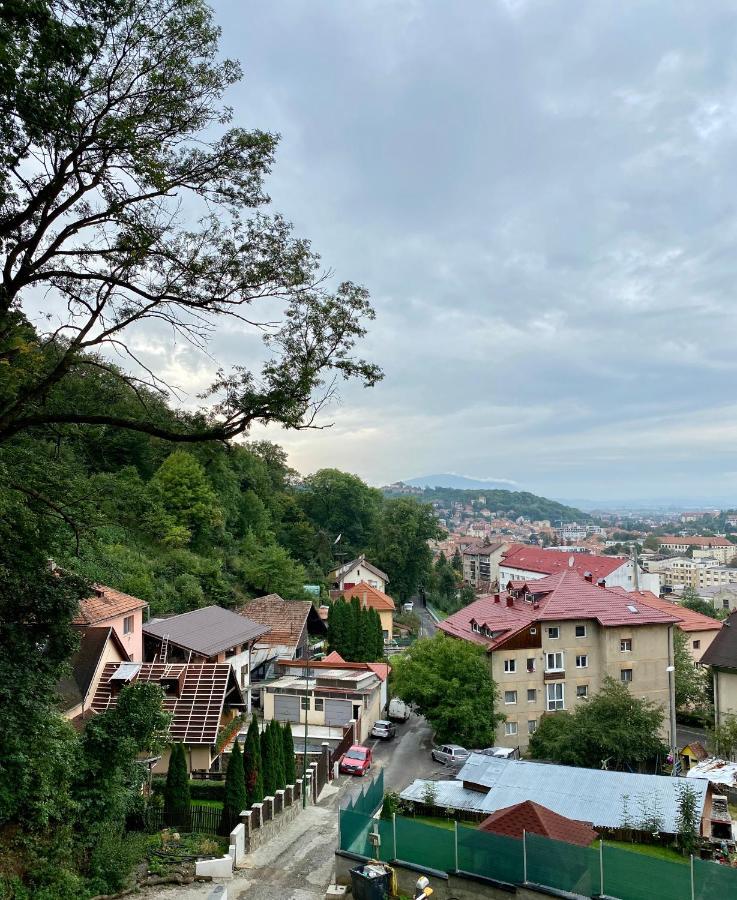 Nature Apartment - Minutes Away From The Old Town And Afi Mall Braşov Exterior foto